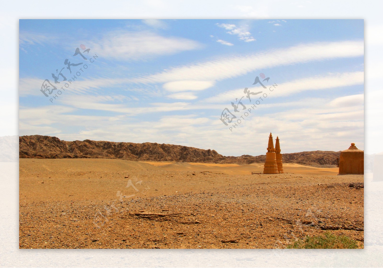 沙漠里的胡杨树图片_沙漠胡杨树图片_微信公众号文章
