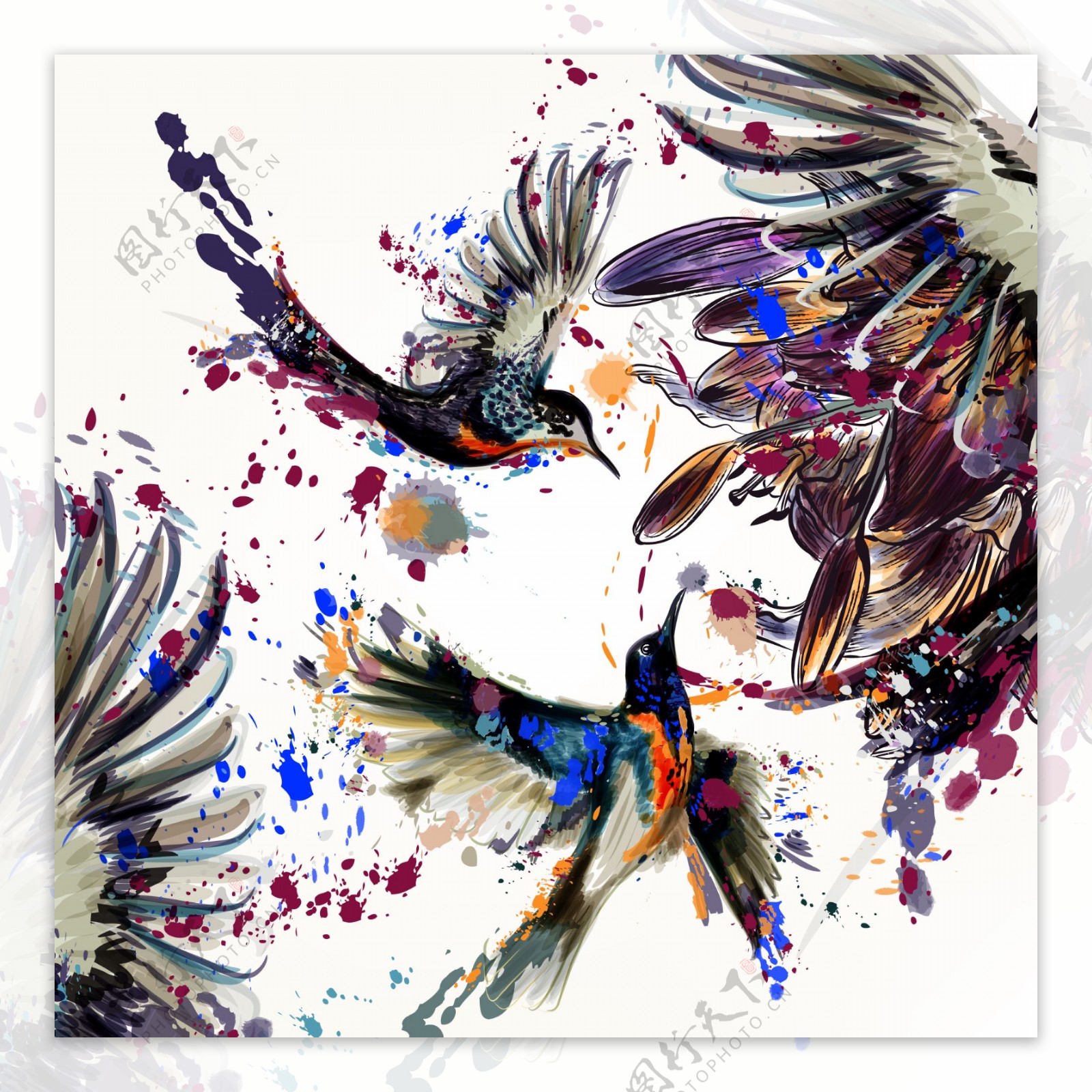 有插图的花和油漆飞溅的美丽鸟的背景