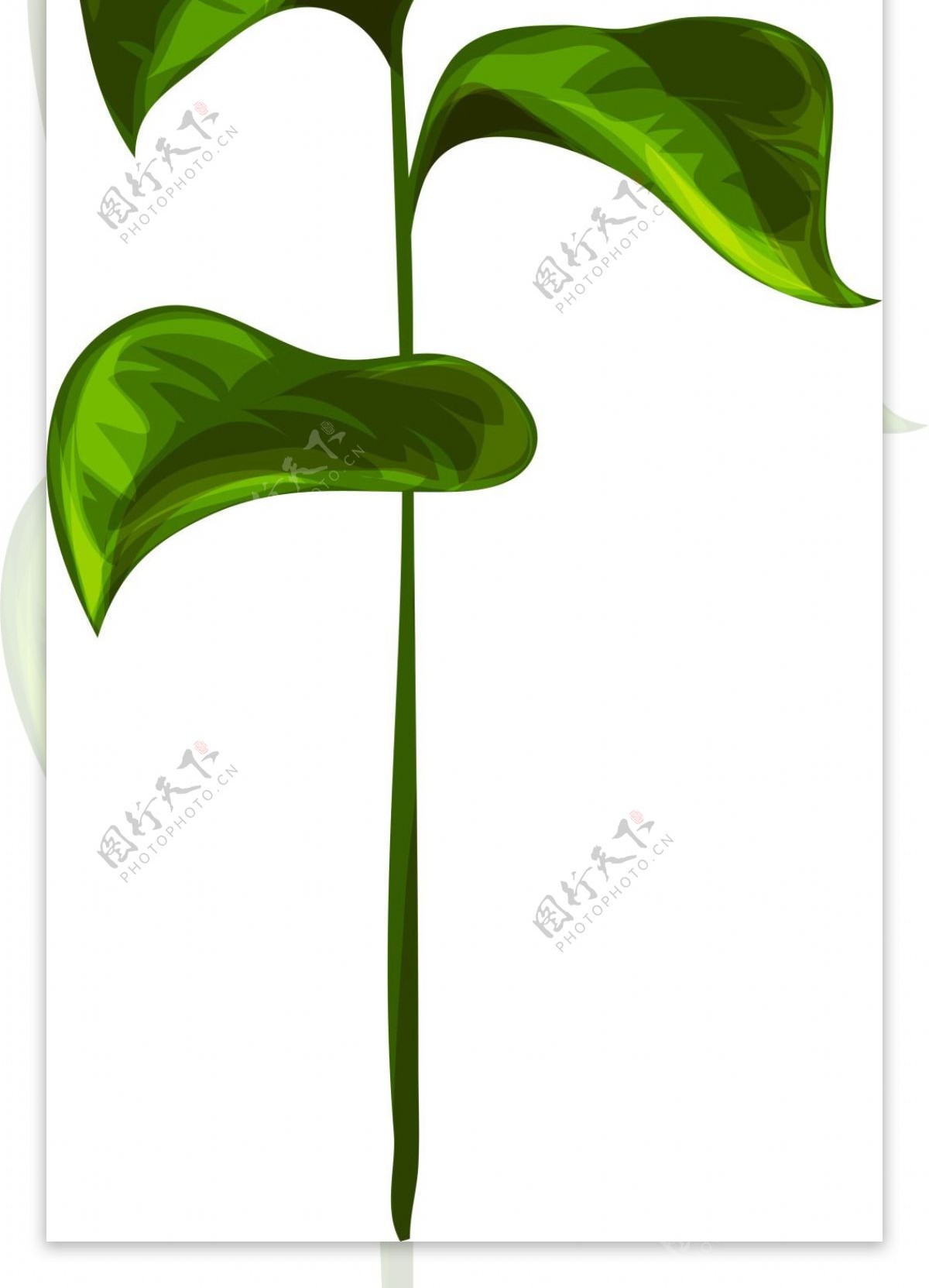 绿叶卡通植物矢量素材