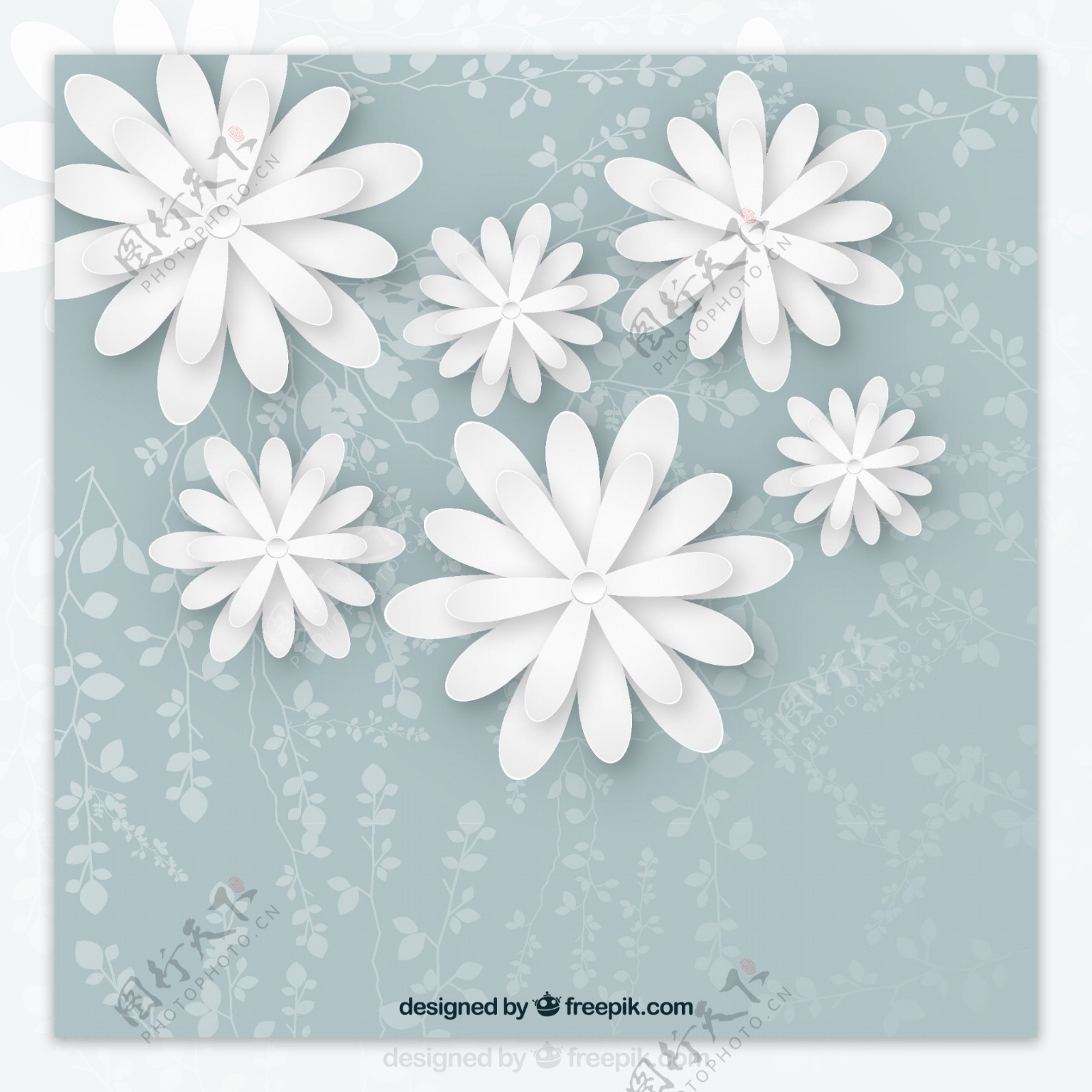 立体白色花朵