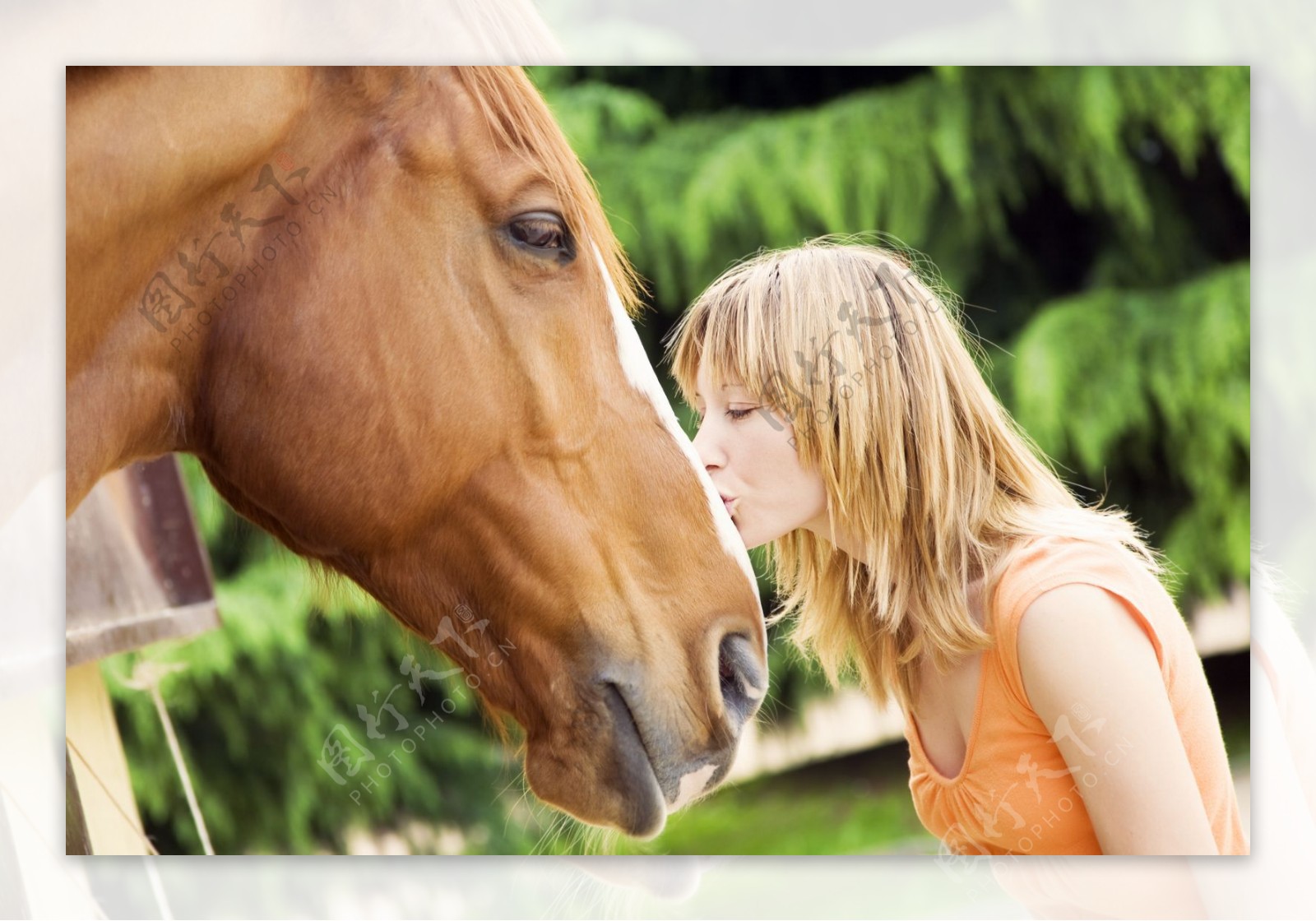 亲吻马的美女图片