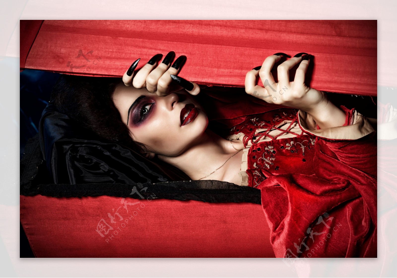 棺材里的女吸血鬼图片