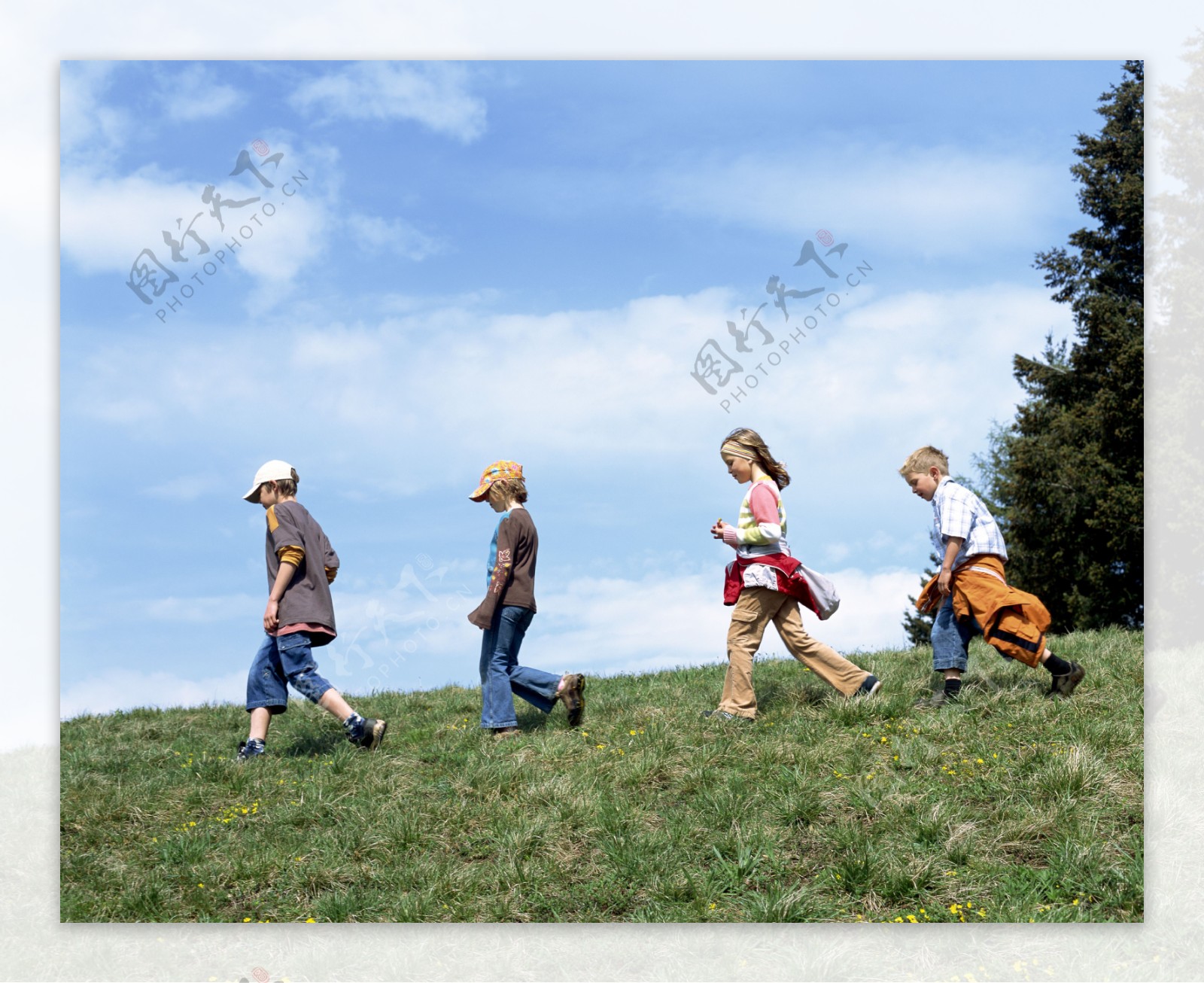 草地上的儿童图片