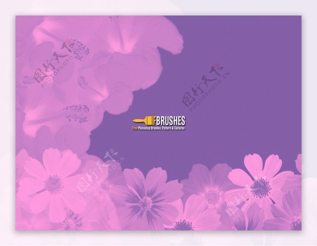 漂亮的鲜花花朵photoshop笔刷素材下载