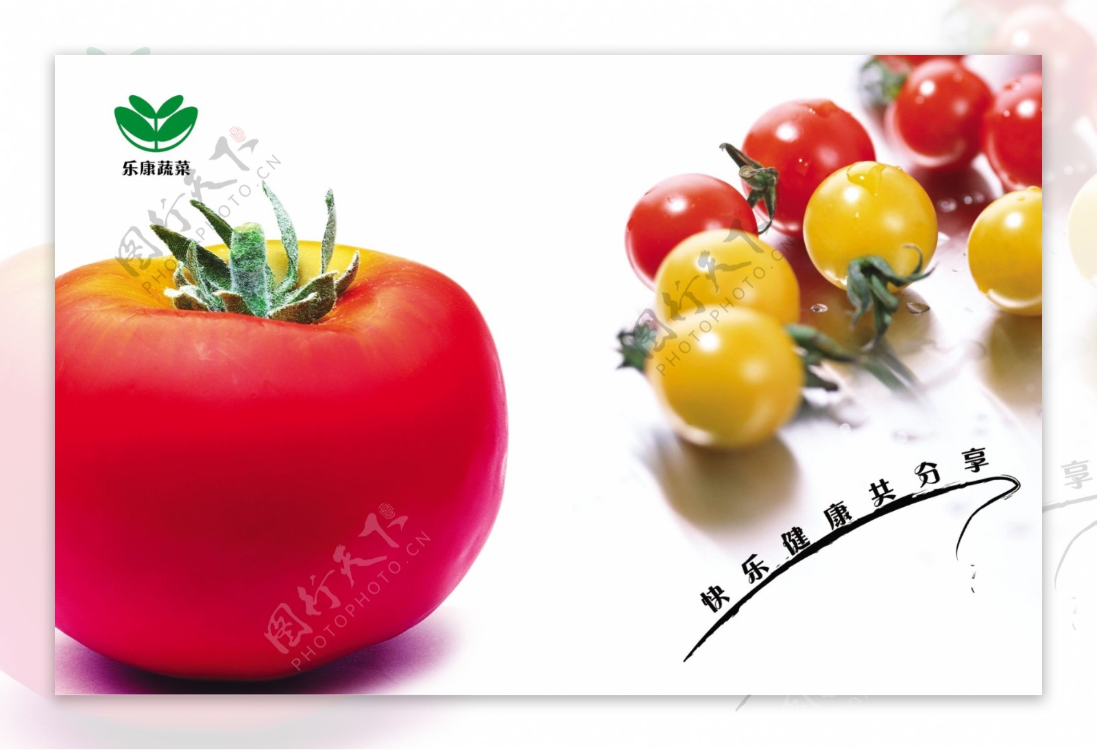 乐康蔬菜画册模板图片