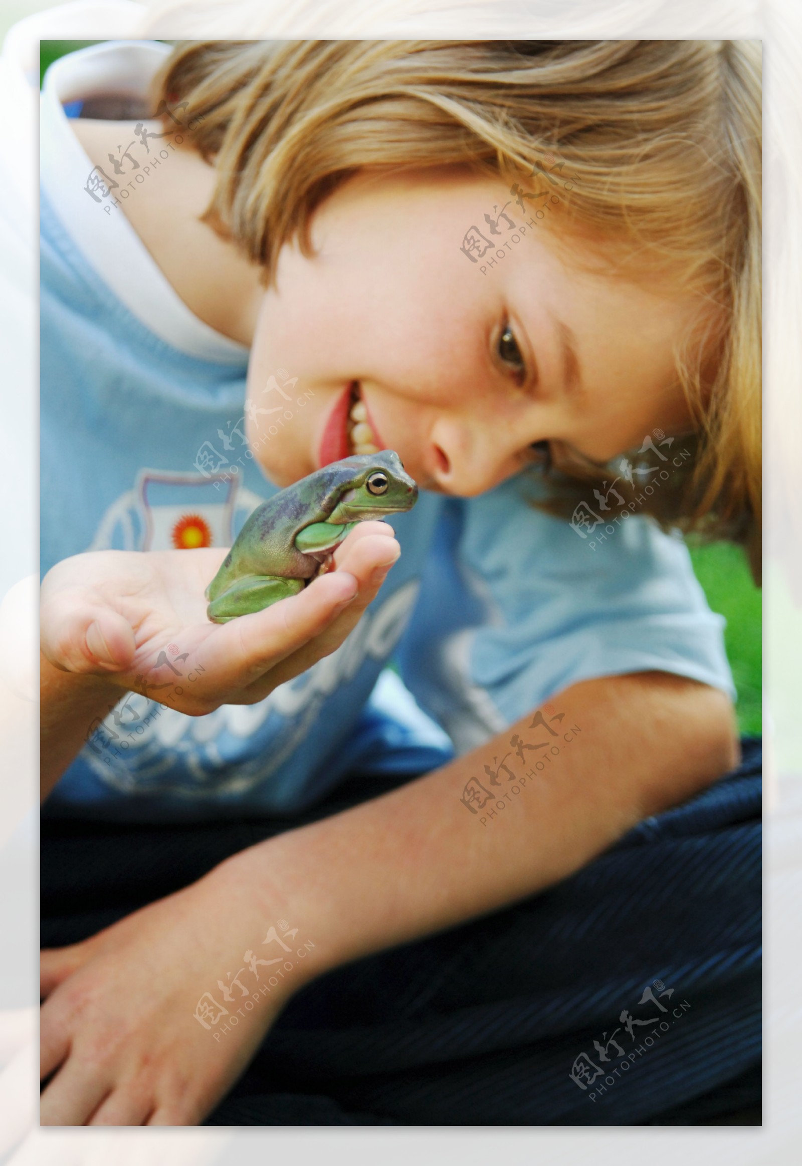 观察青蛙的小男孩图片