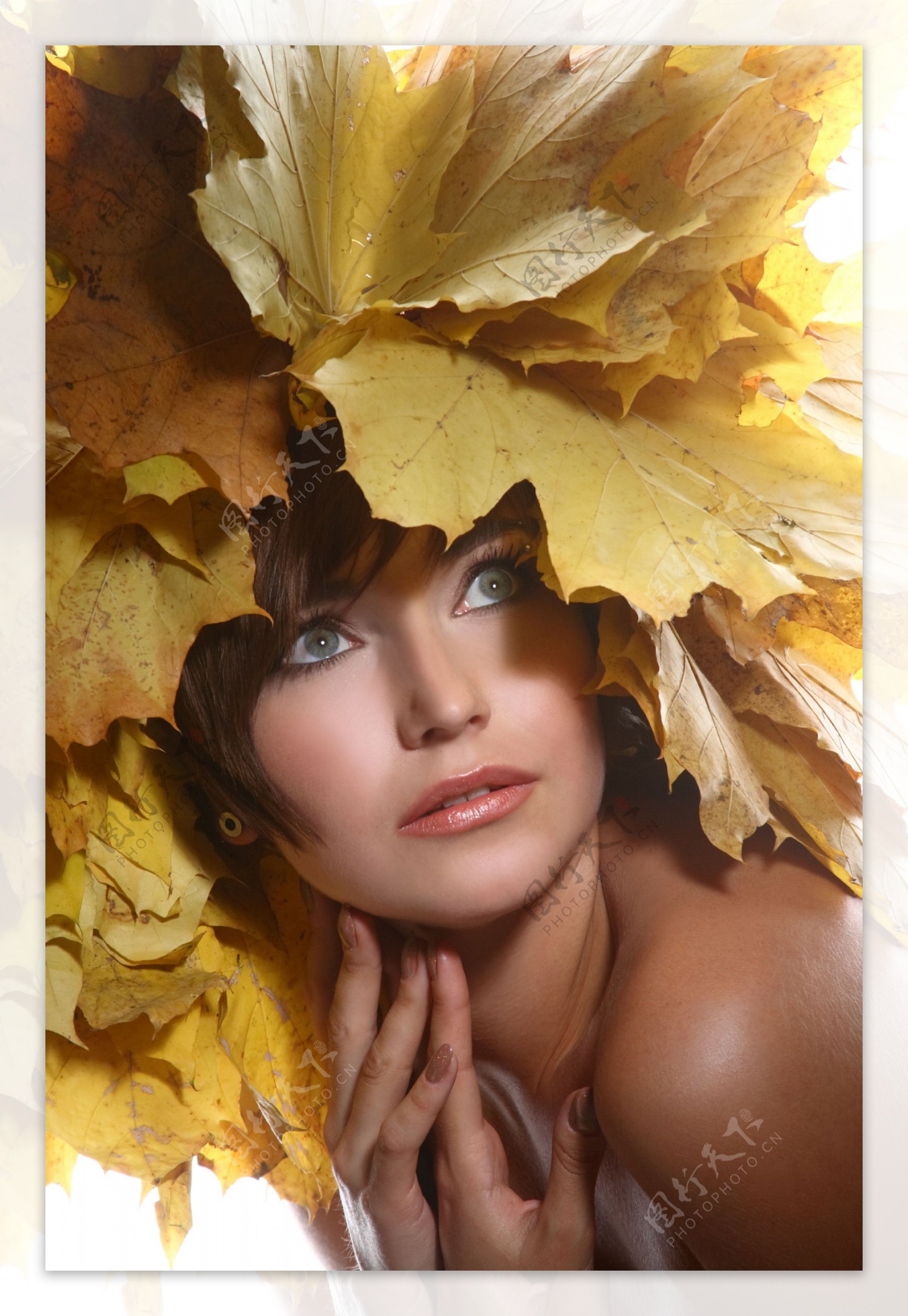女孩与秋天树叶图片