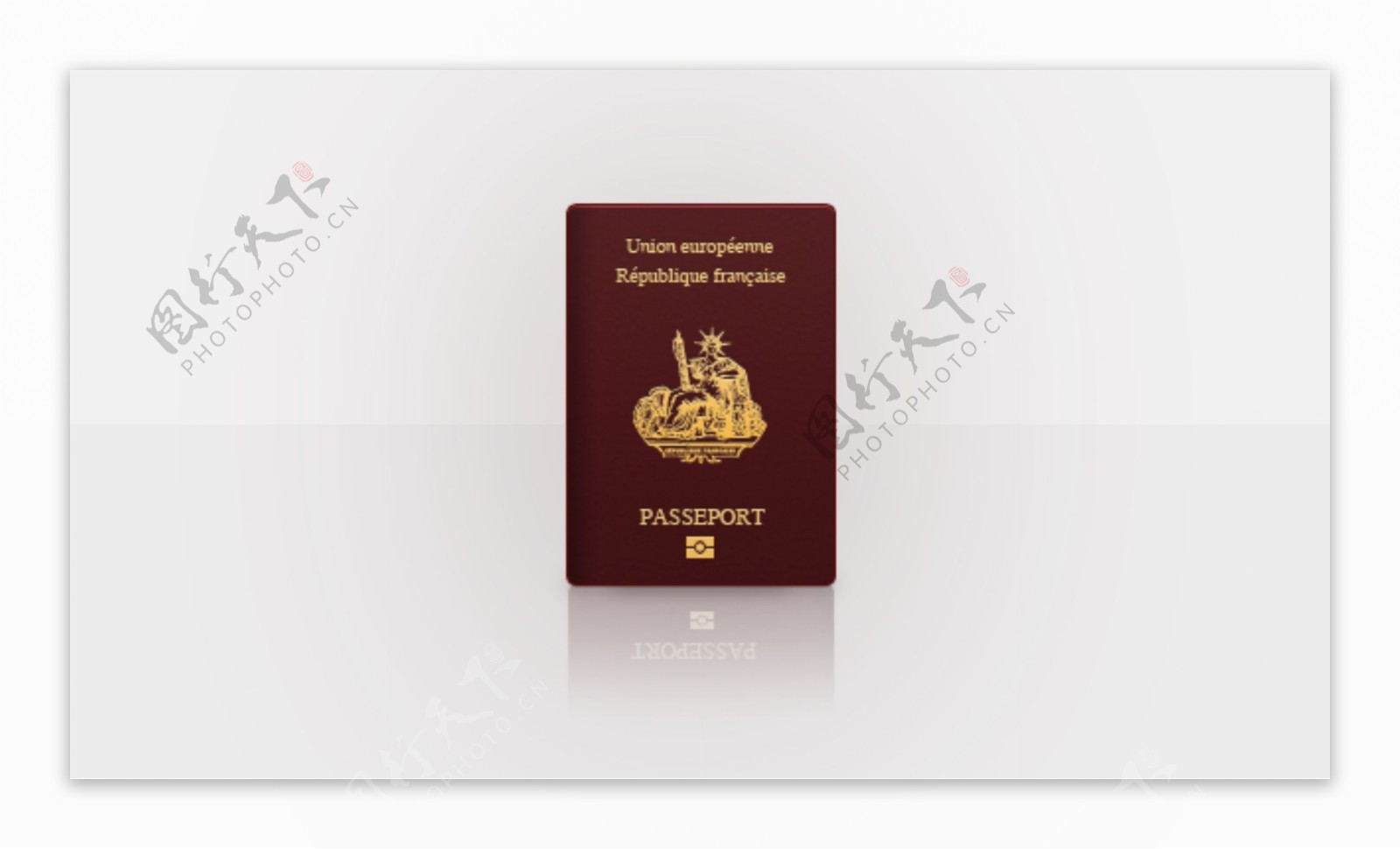法国护照PSD