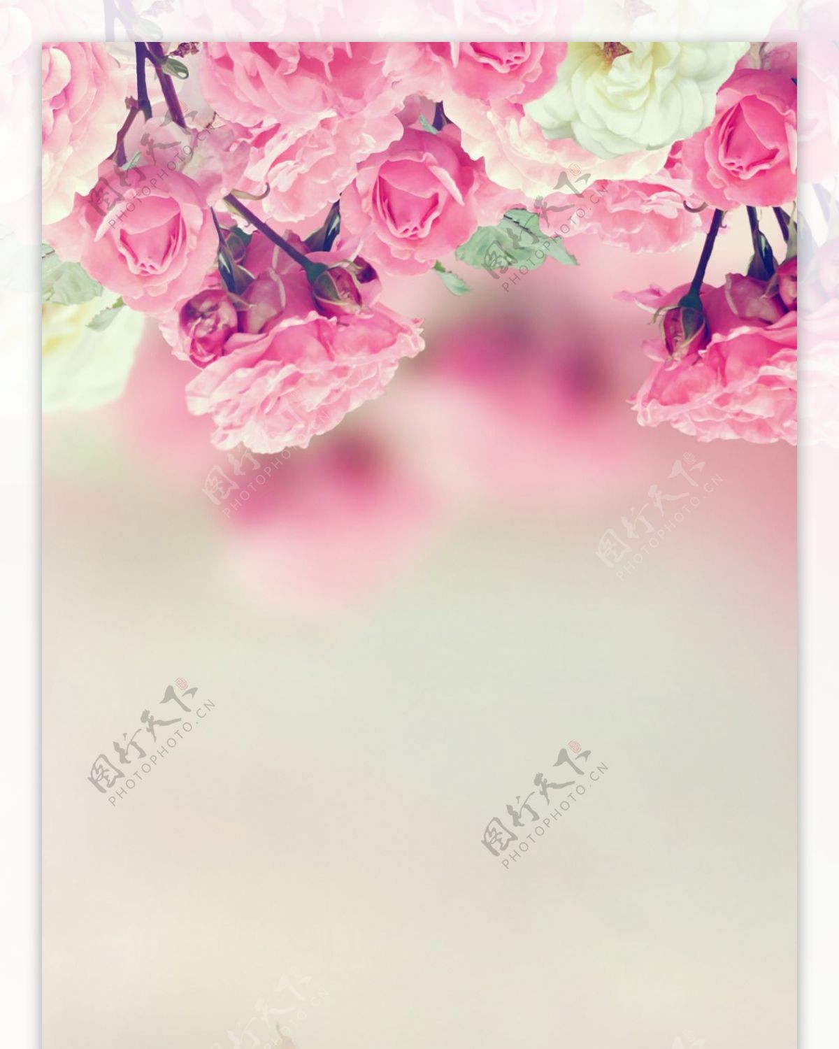 粉红花朵展板背景