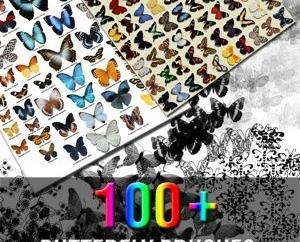 100个蝴蝶笔刷图片