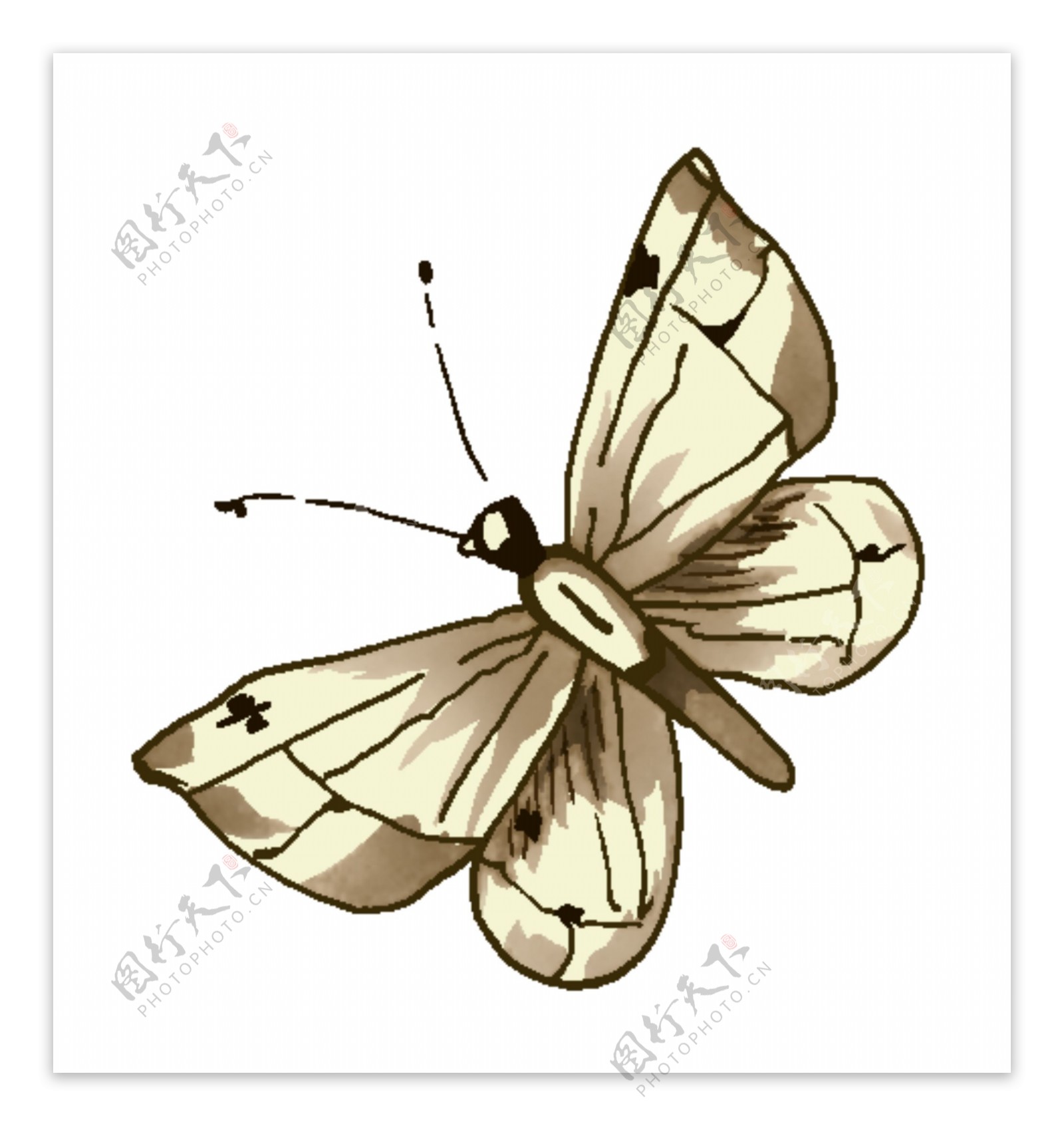 蝴蝶彩绘动物分层PSD0018