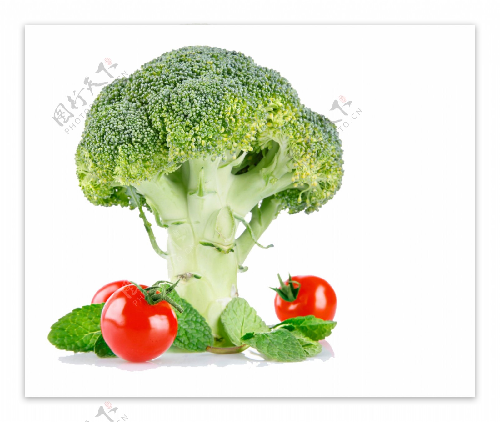 蔬菜PSD