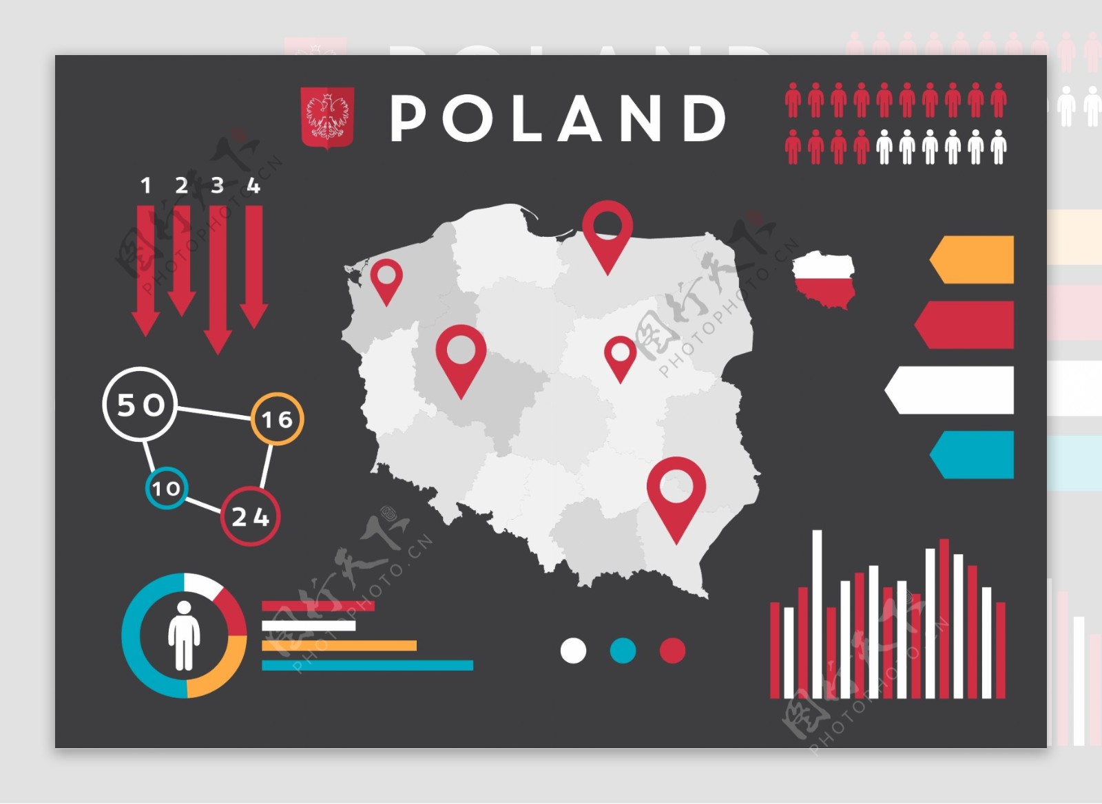 波兰矢量信息图