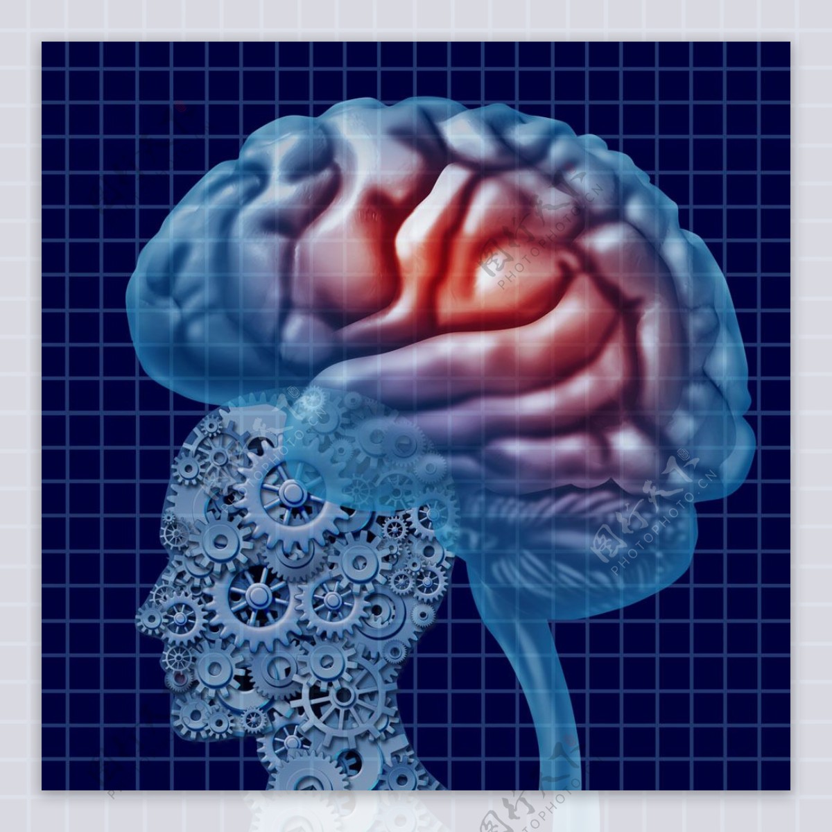 大脑模拟图图片