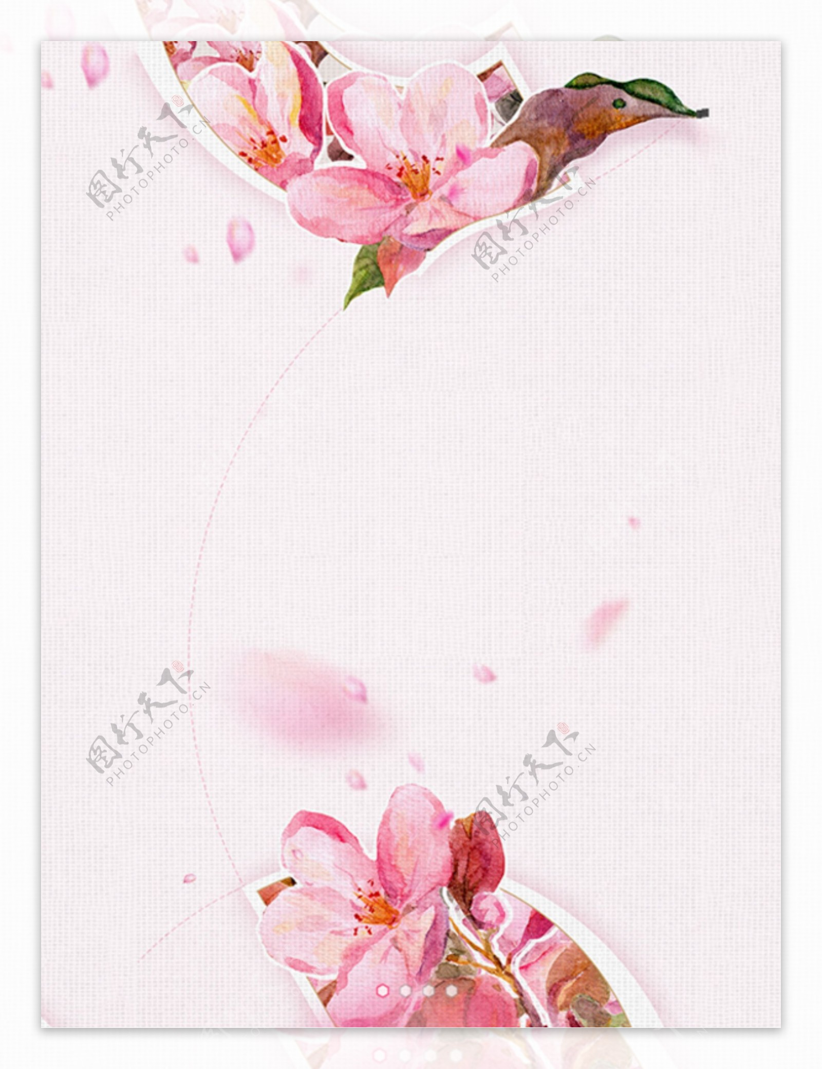 粉色花朵叶子线条虚线飘落花瓣广告背景素材