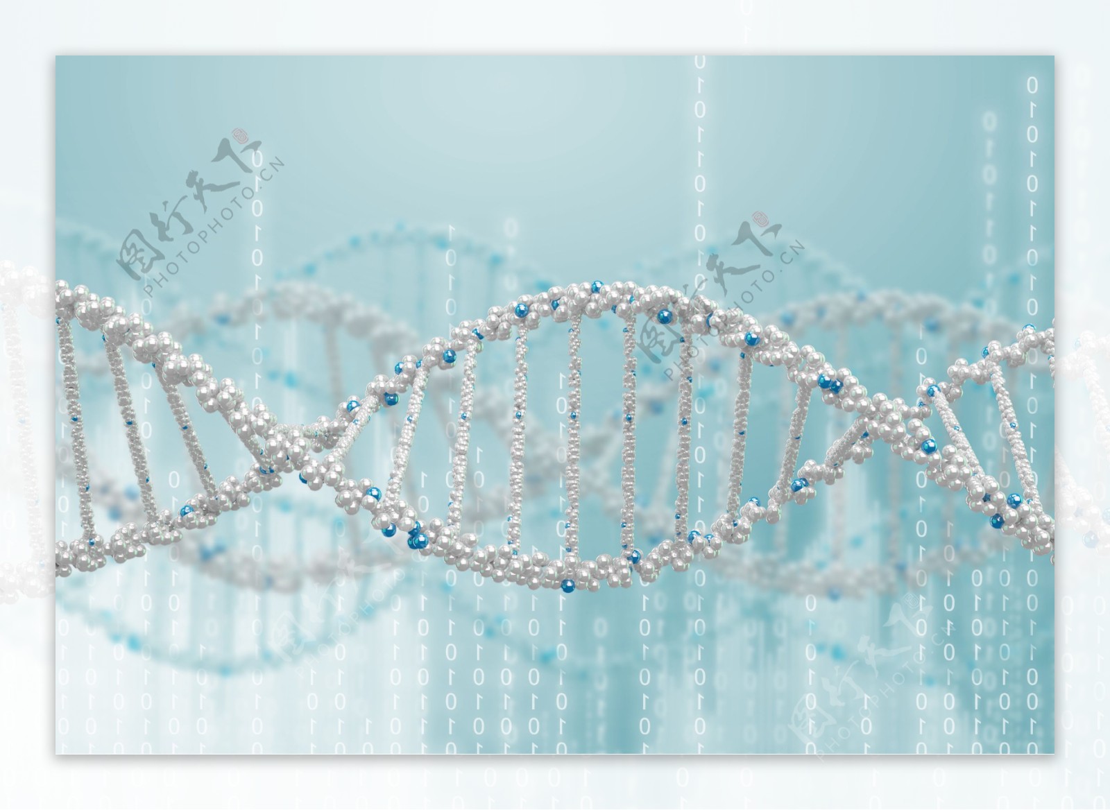 DNA分子结构图片