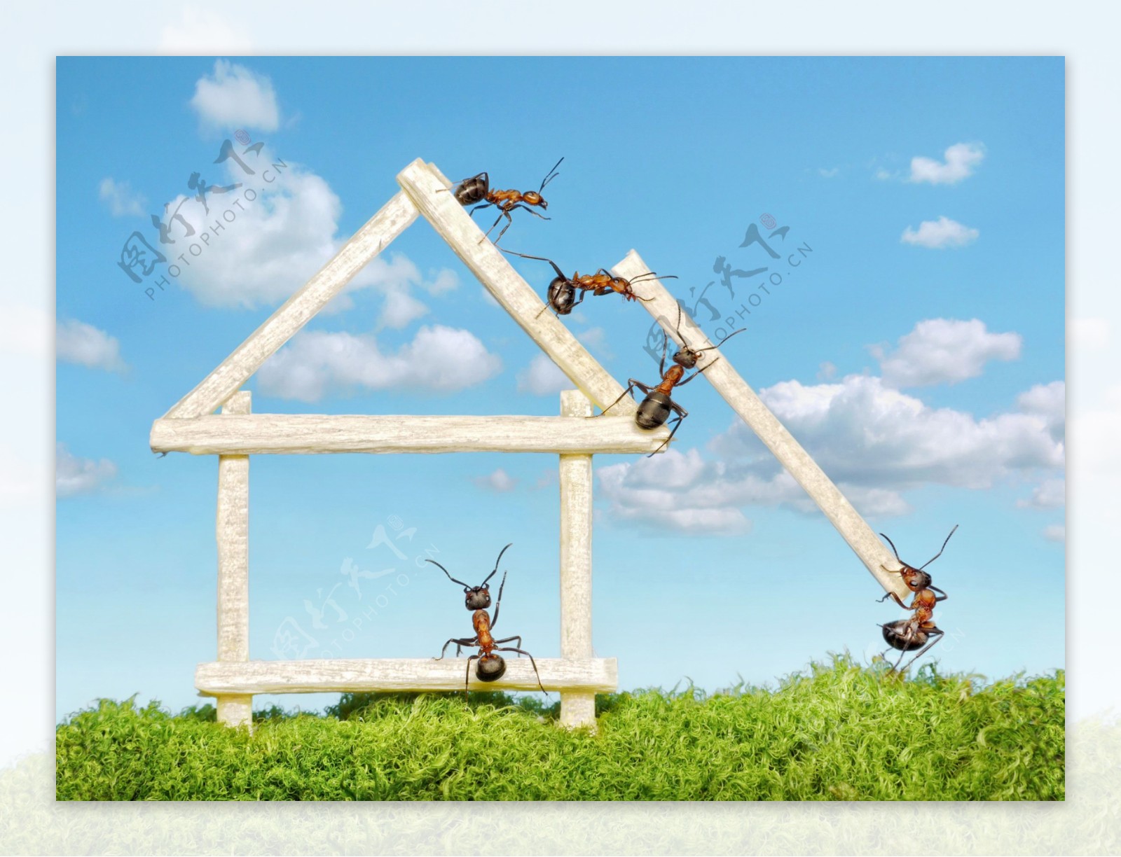 创意蚂蚁建房子图片