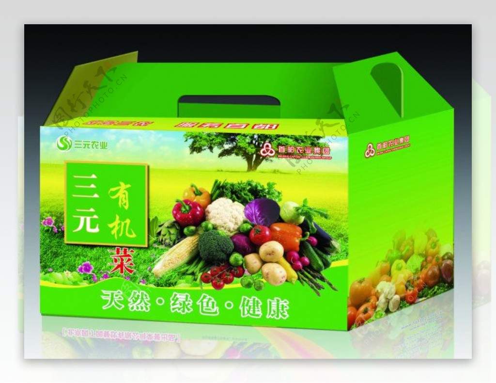 蔬菜包装盒蔬菜礼品盒