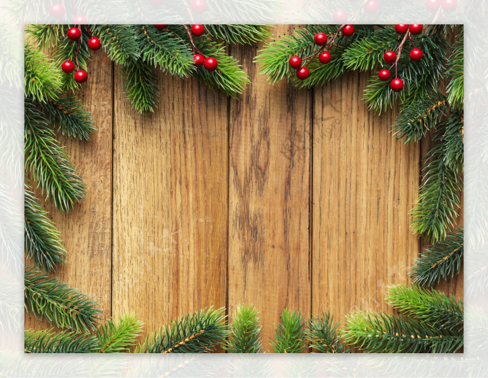 圣诞树木板背景