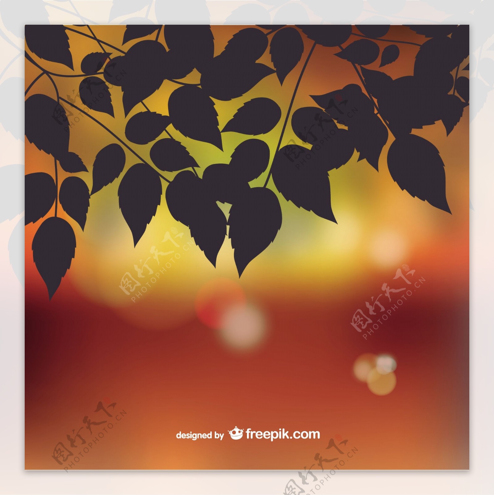 秋天树叶的背景虚化背景的剪影