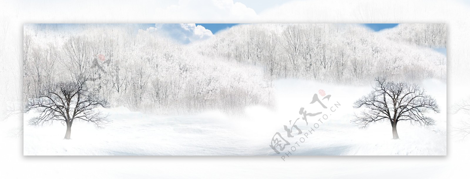 雪树1920雪景背景素材119
