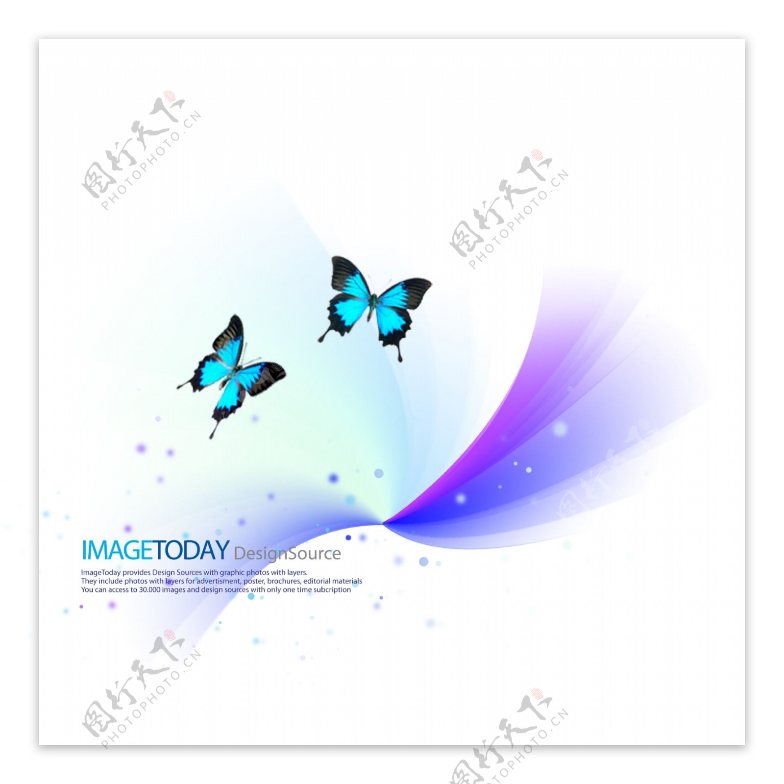蓝色彩蝶背景素材