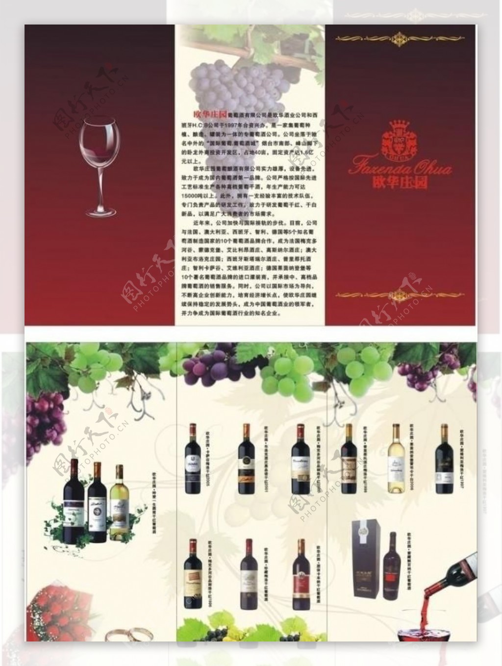 红酒三折页图片