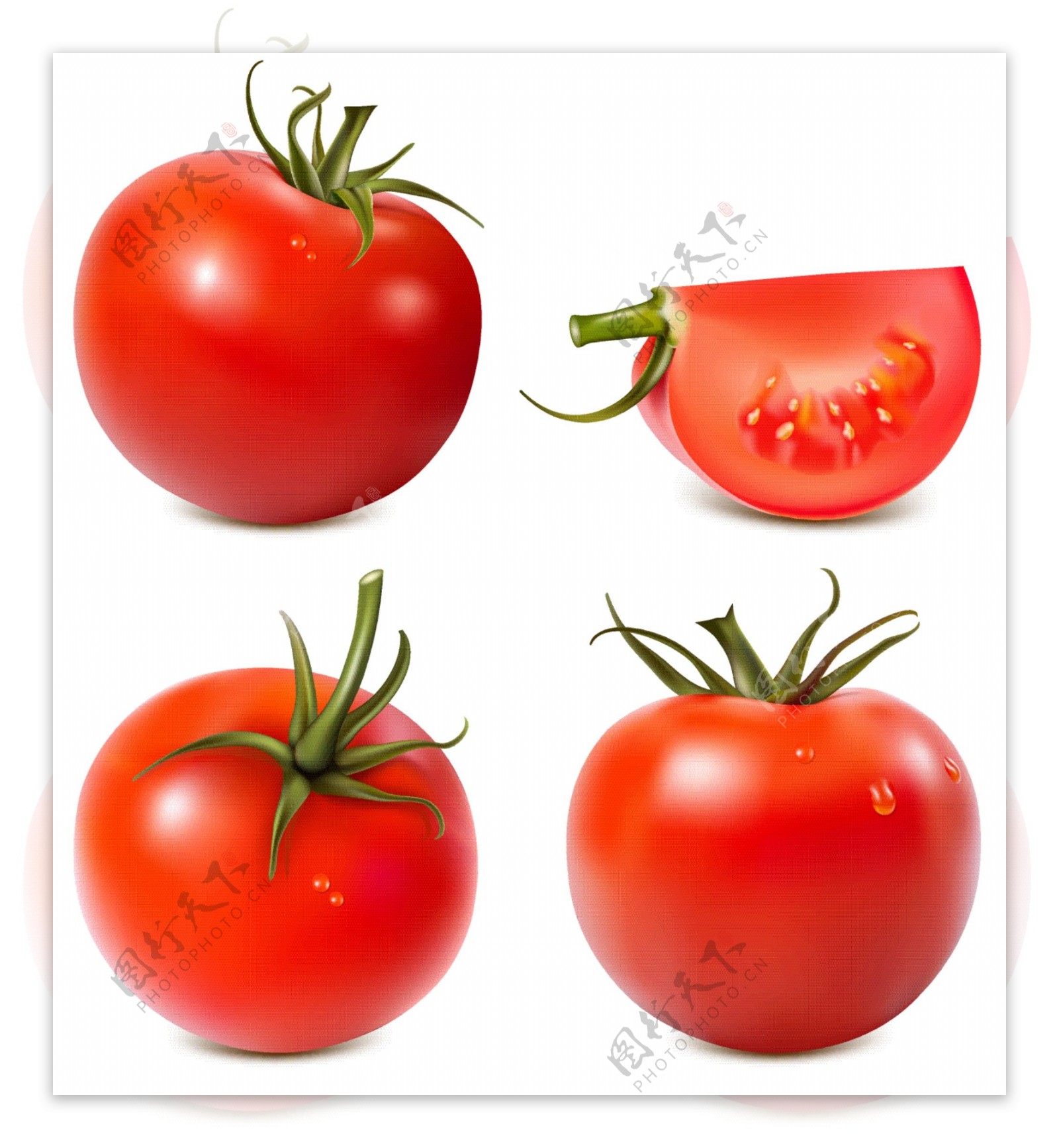 西红柿单个矢量图