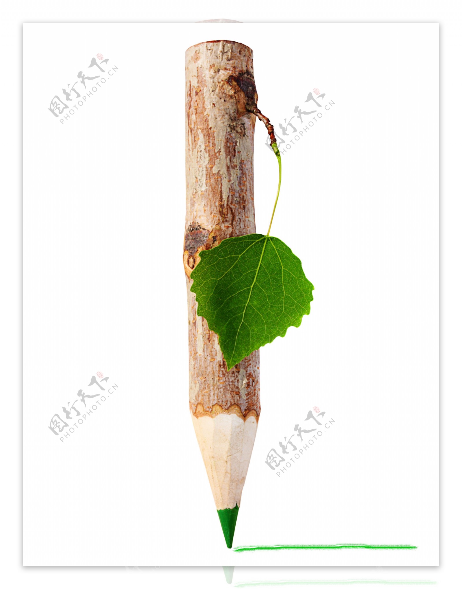 树桩铅笔