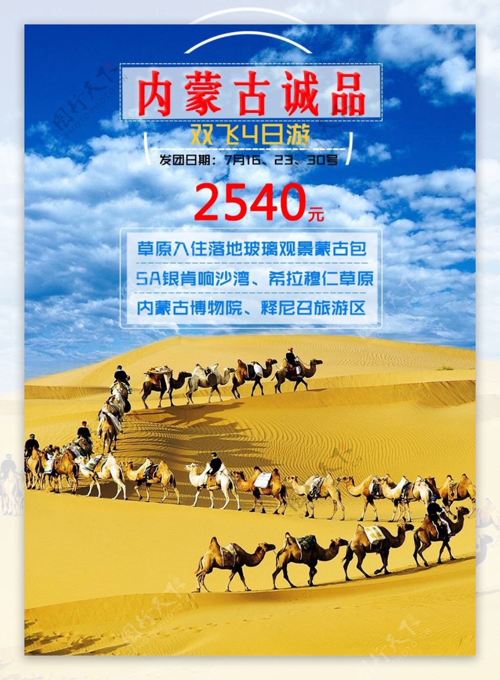 内蒙古蓝天白云沙漠草原旅游骆驼金黄色