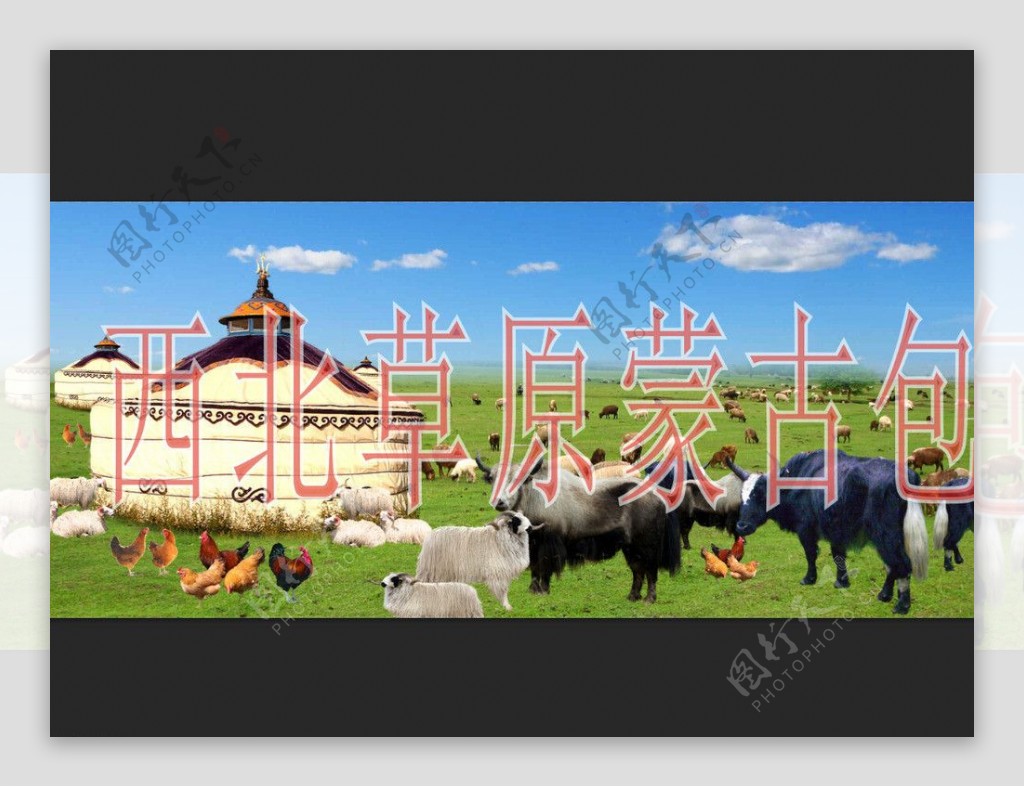 西北草原蒙古包图片