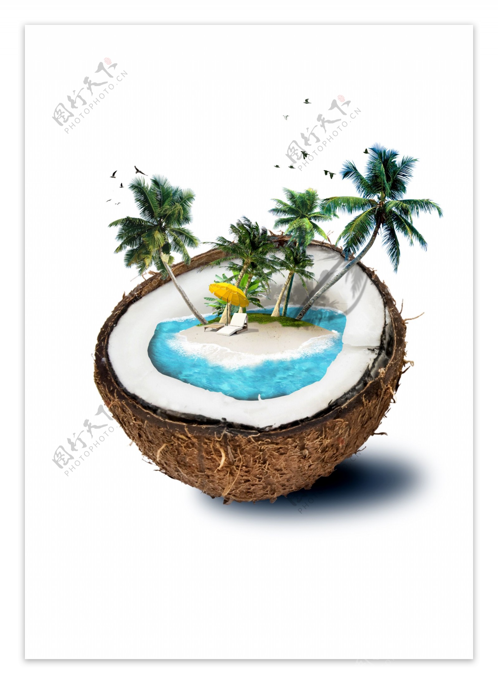 海边椰子
