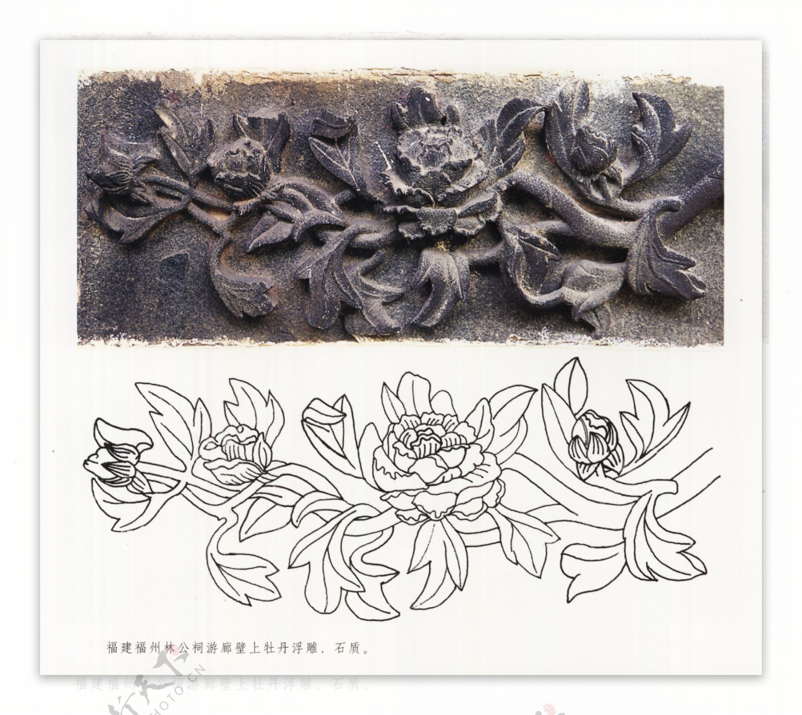 古代建筑雕刻纹饰草木花卉牡丹月季30