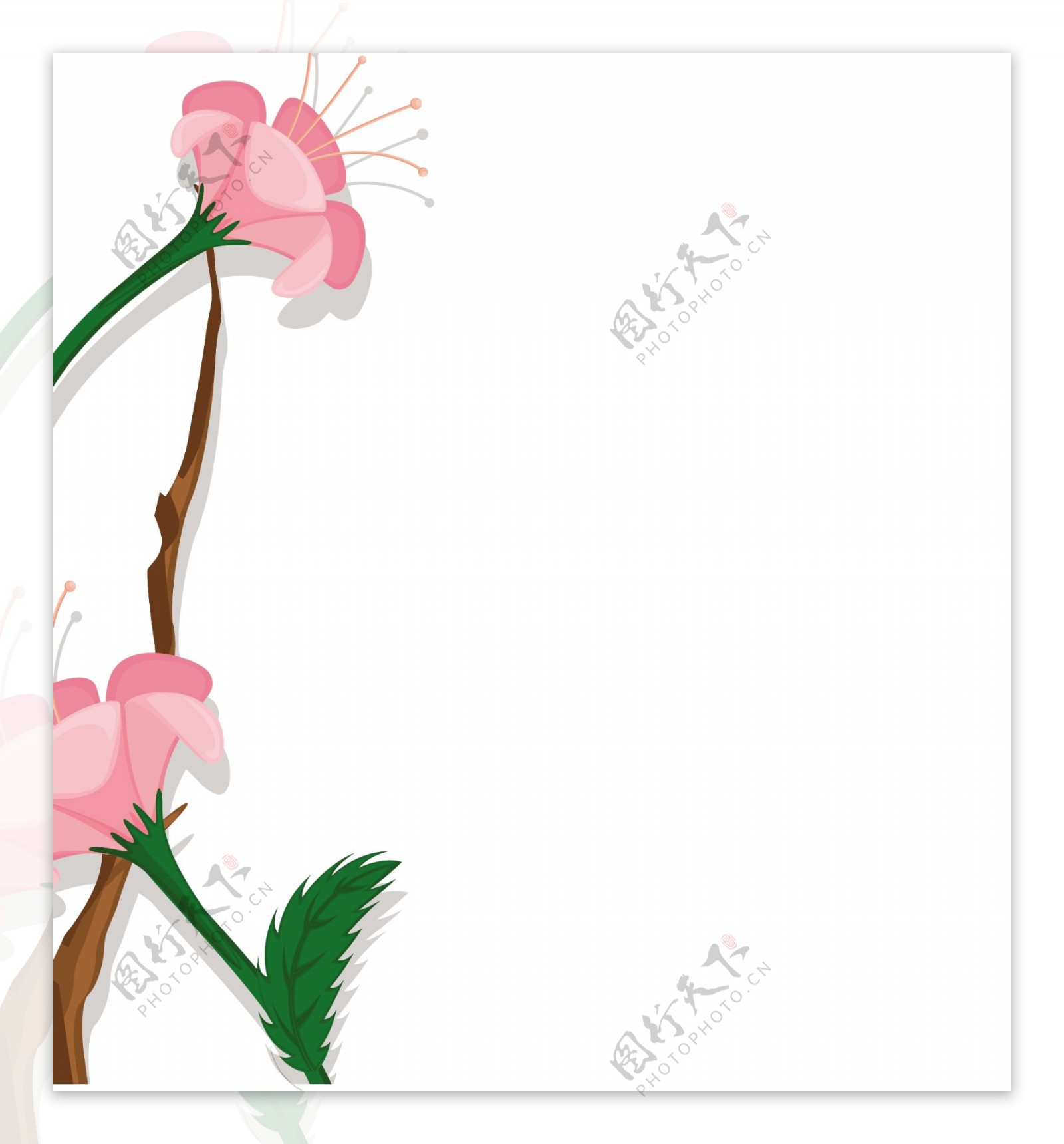 粉红色的雏菊矢量banner设计