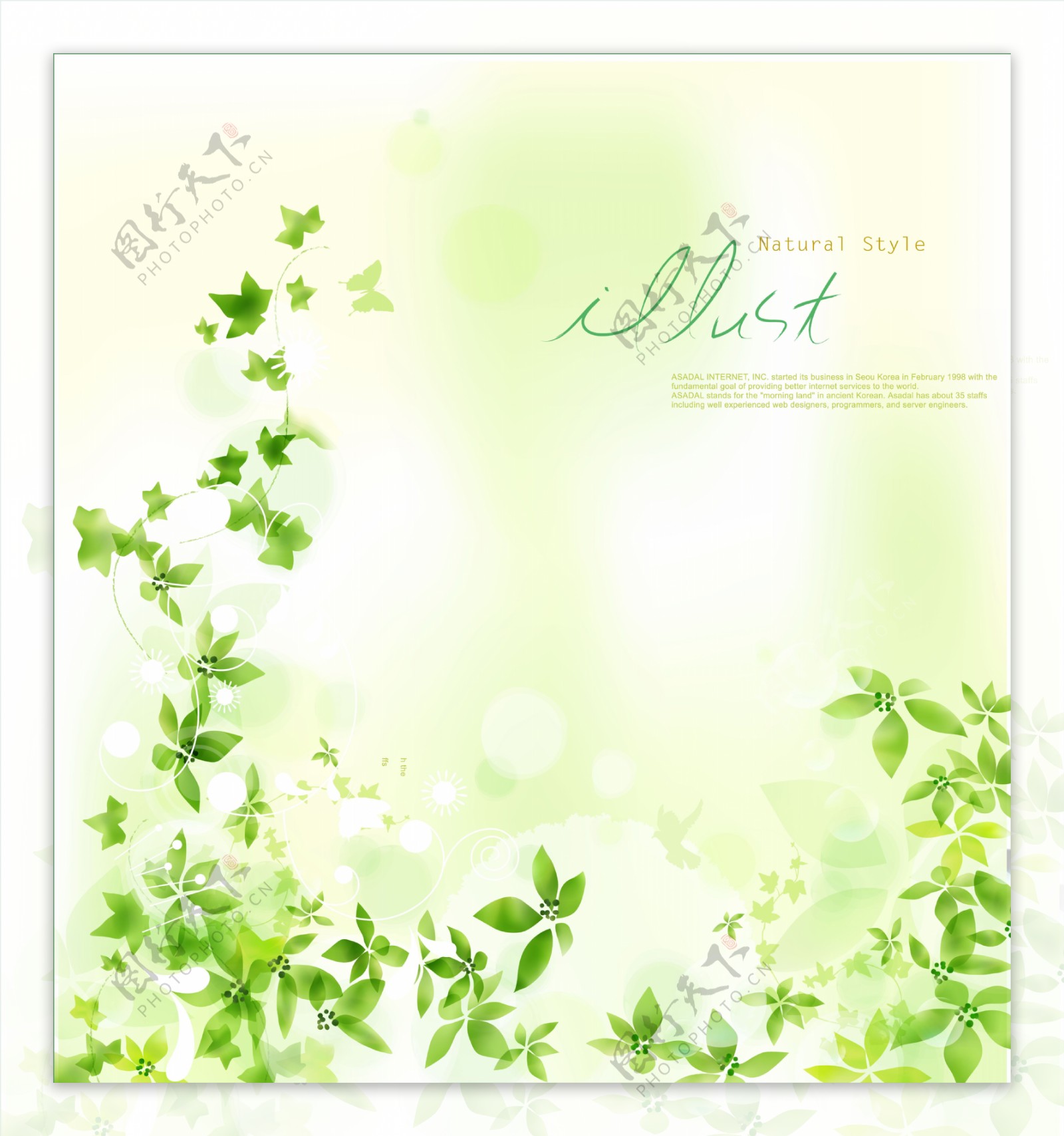 淡雅绿色树叶背景图片