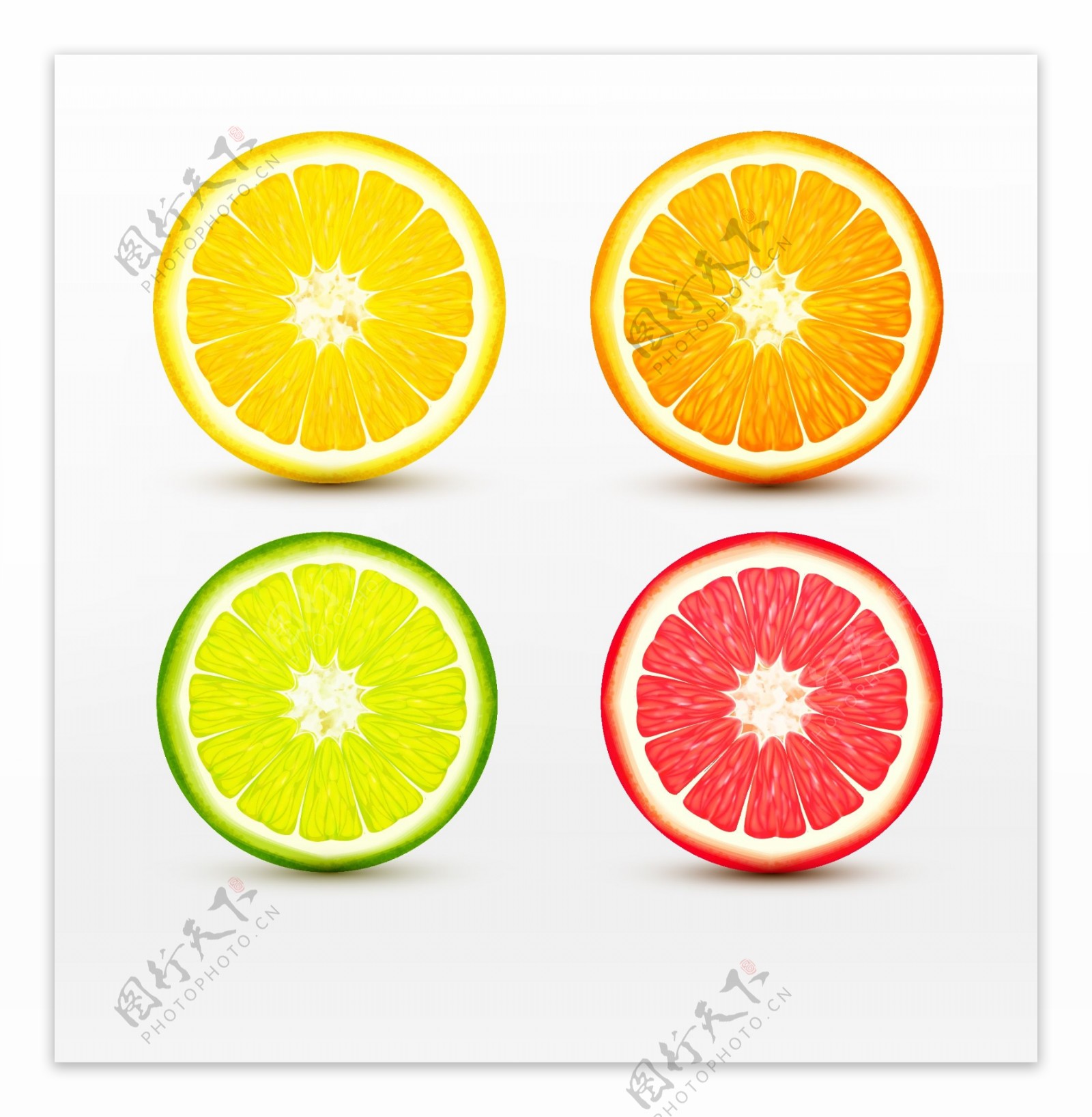 四款不同颜色的柠檬切面矢量素材