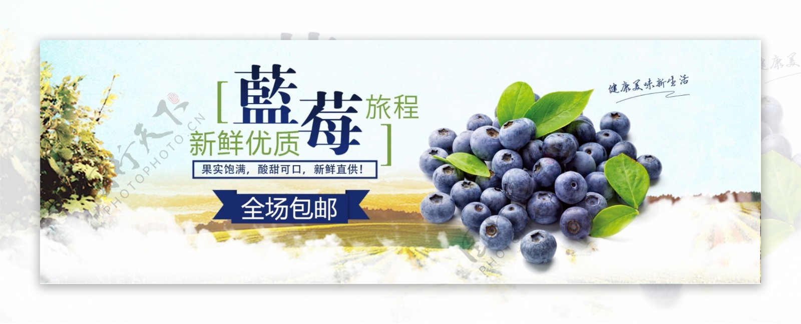 清新水果食品蓝莓新鲜美食淘宝banner