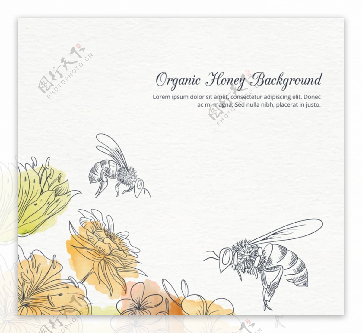 彩绘花丛中采蜜的蜜蜂矢量素材