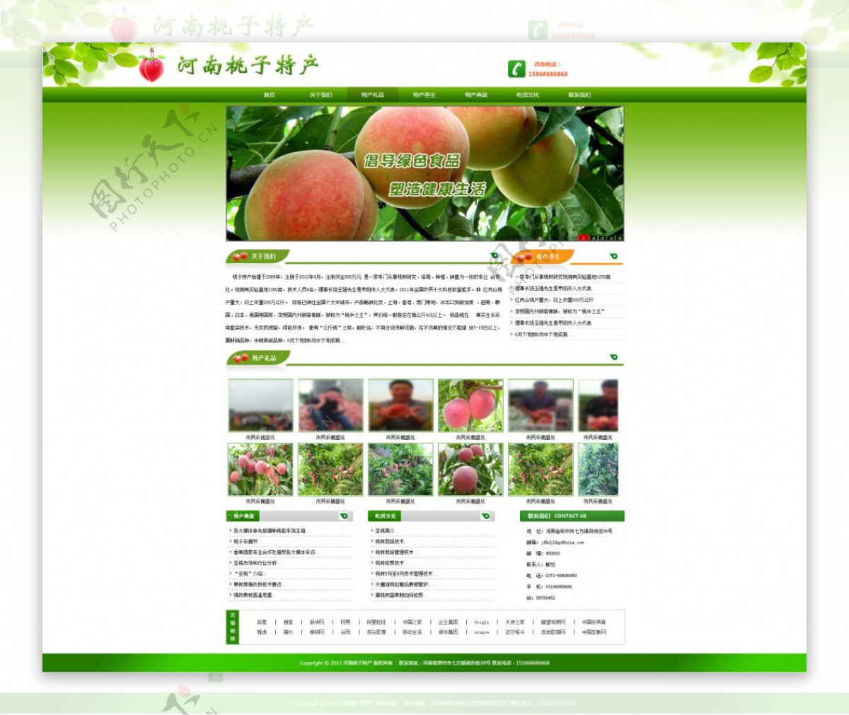 生鲜桃子网站首页