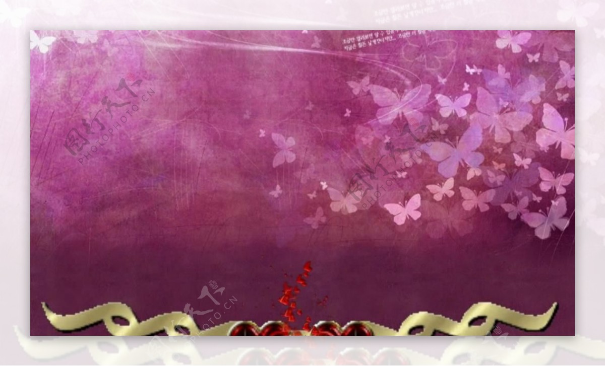 紫色浪漫梦幻蝴蝶动态视频素材