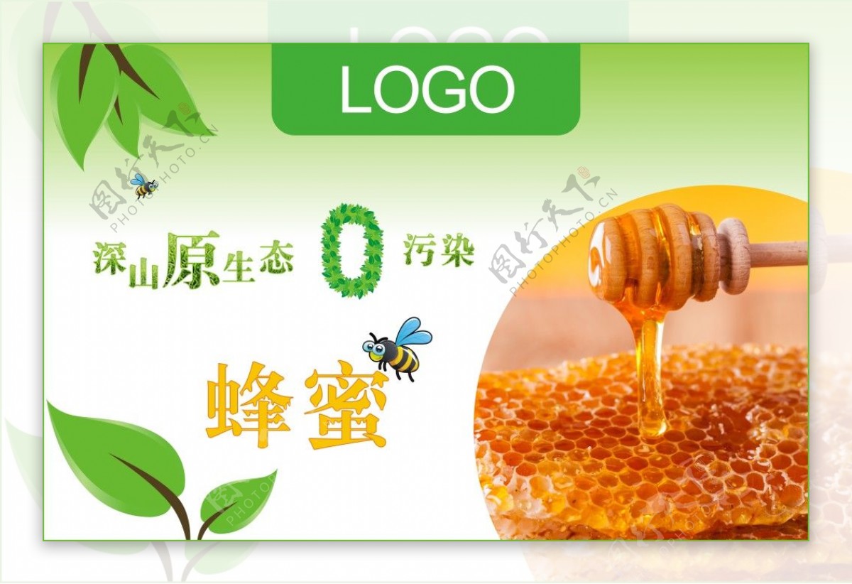 蜂蜜标签设计模板