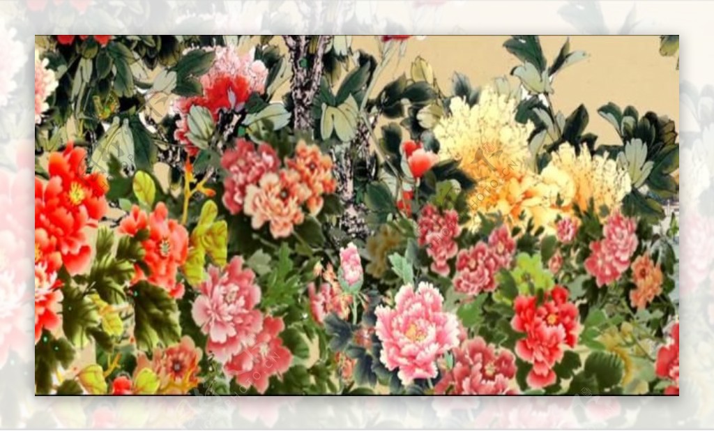 中国风彩色花团锦簇背景大屏视频素材