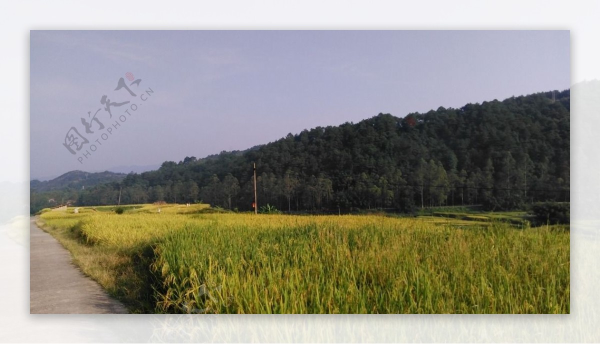 山川的田野