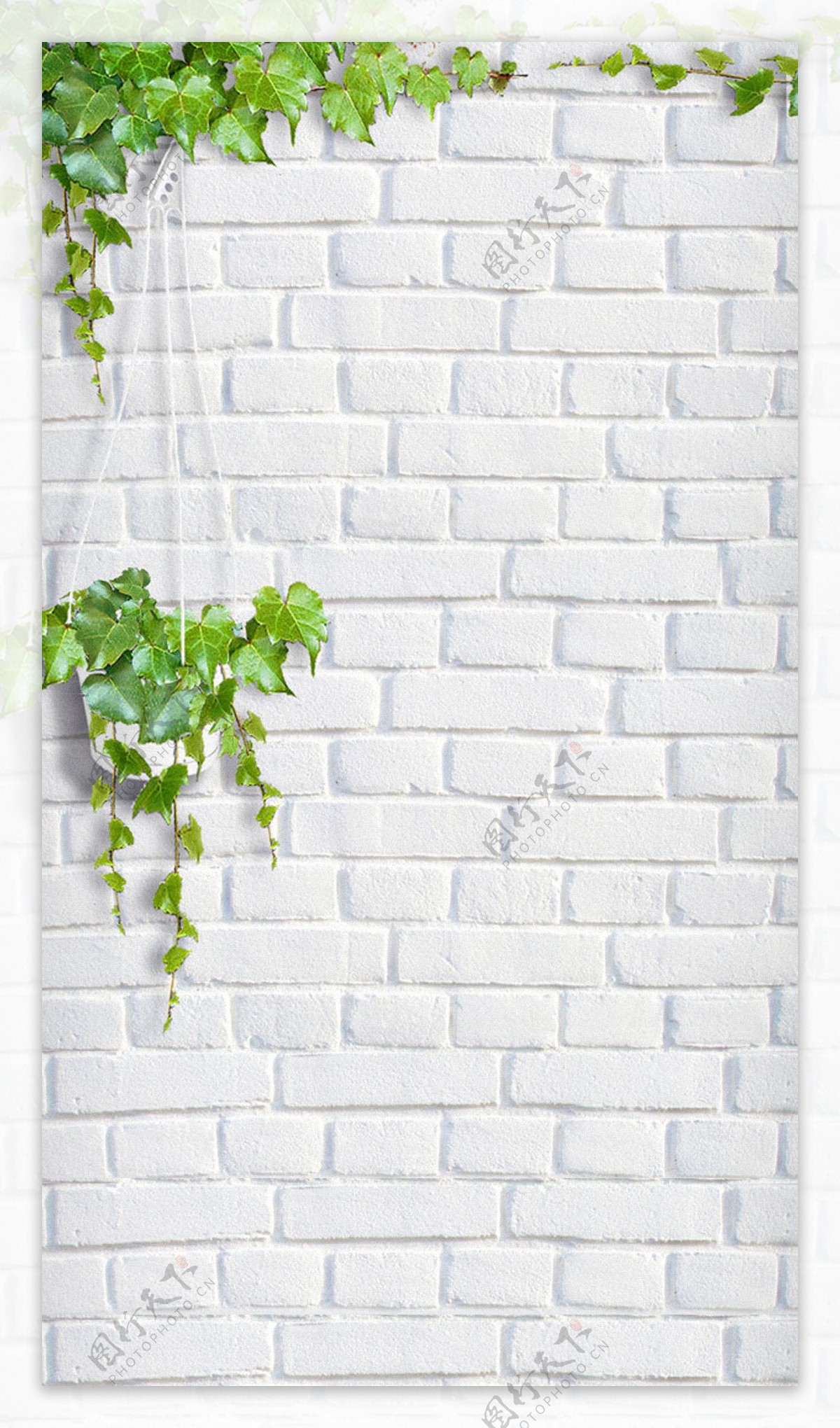 白色砖墙绿叶H5背景素材