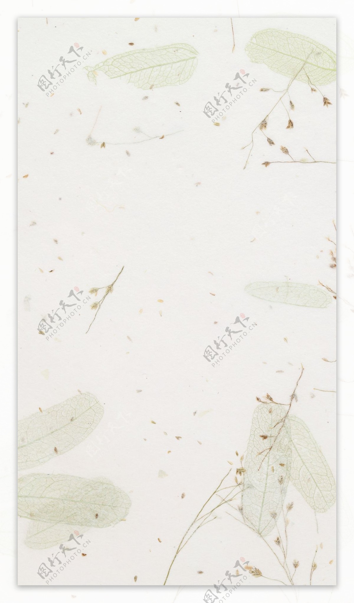手绘白色树叶H5背景素材