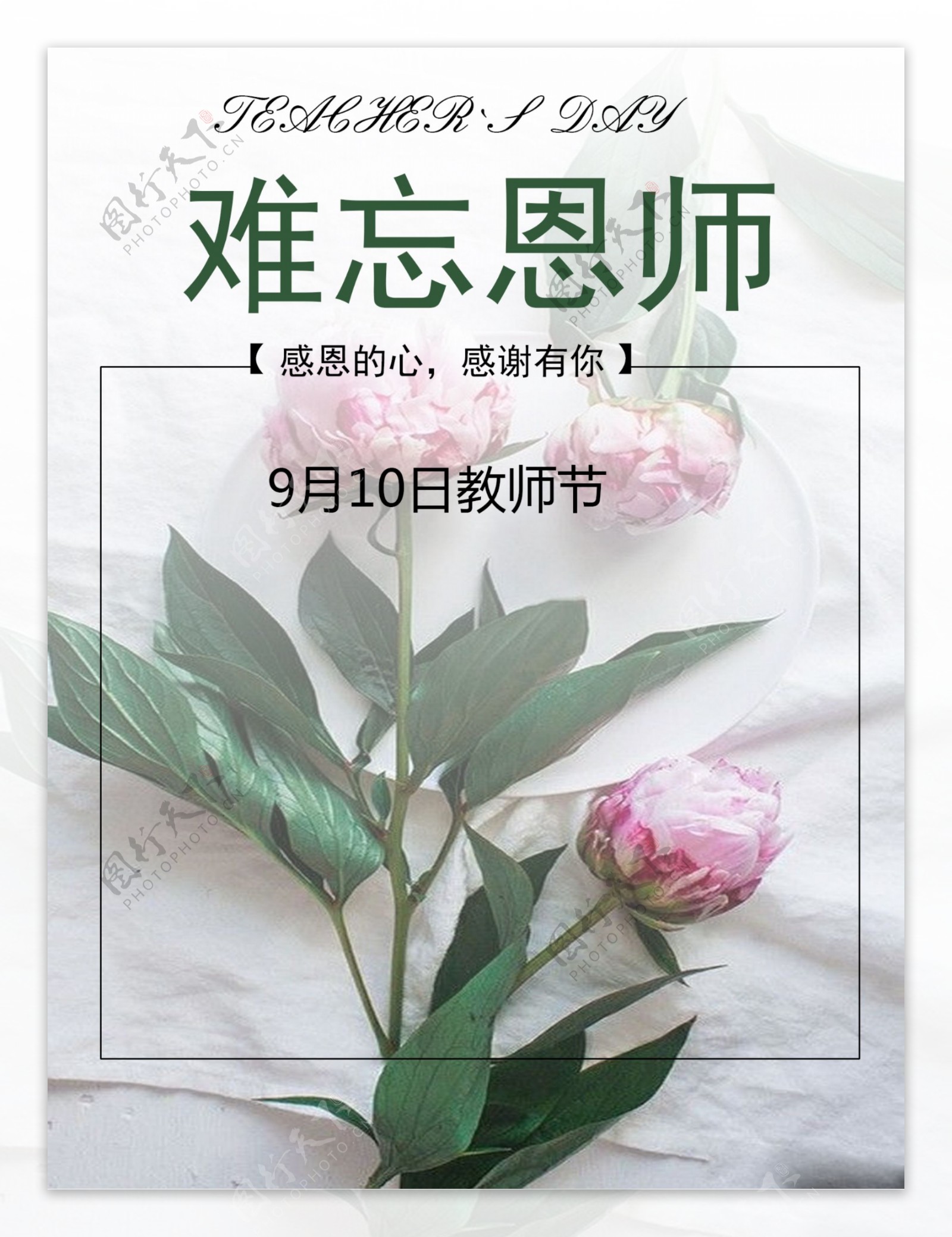 白色文艺小清新教师节校园芍药花苞活动海报