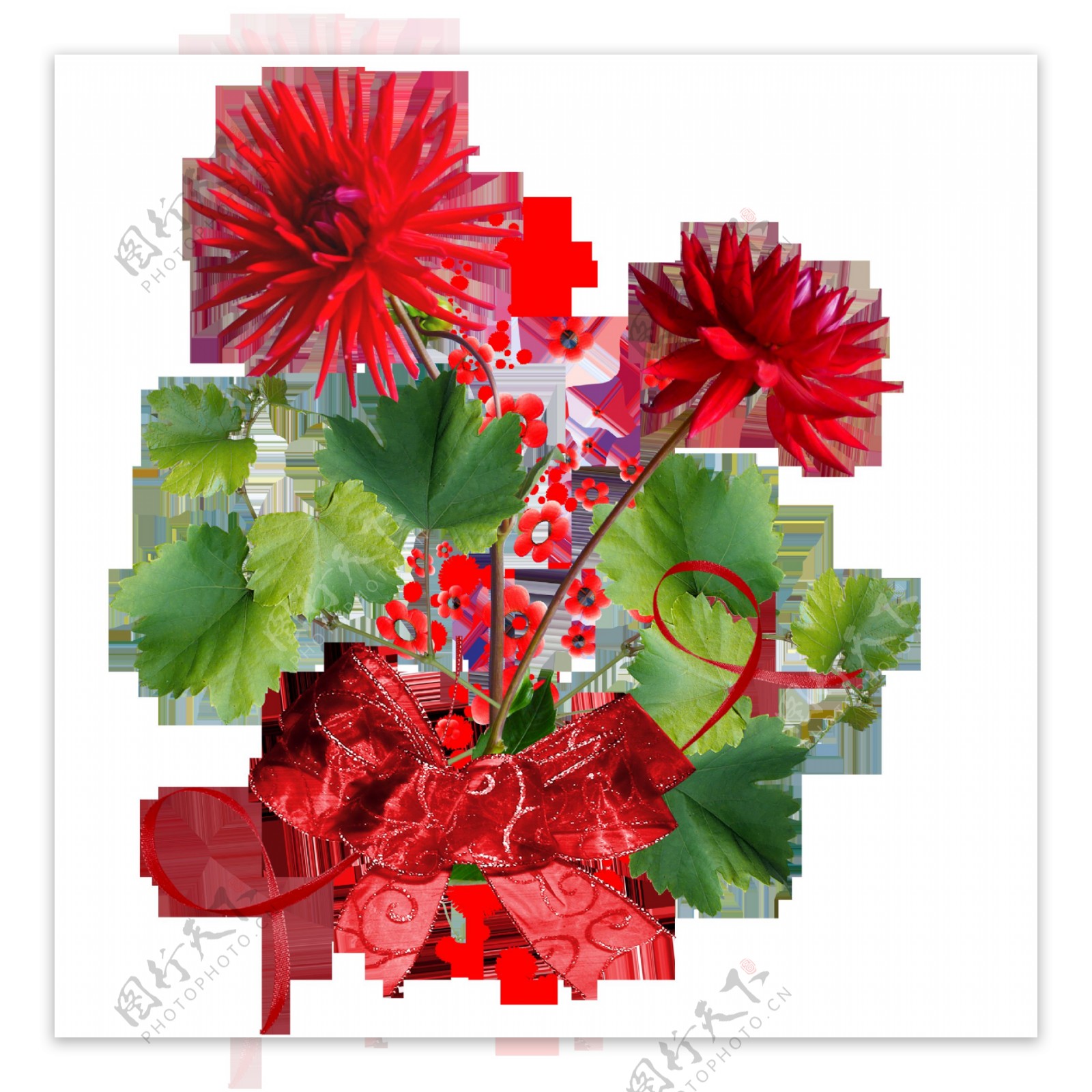 红色丝带捆扎的花朵png元素素材