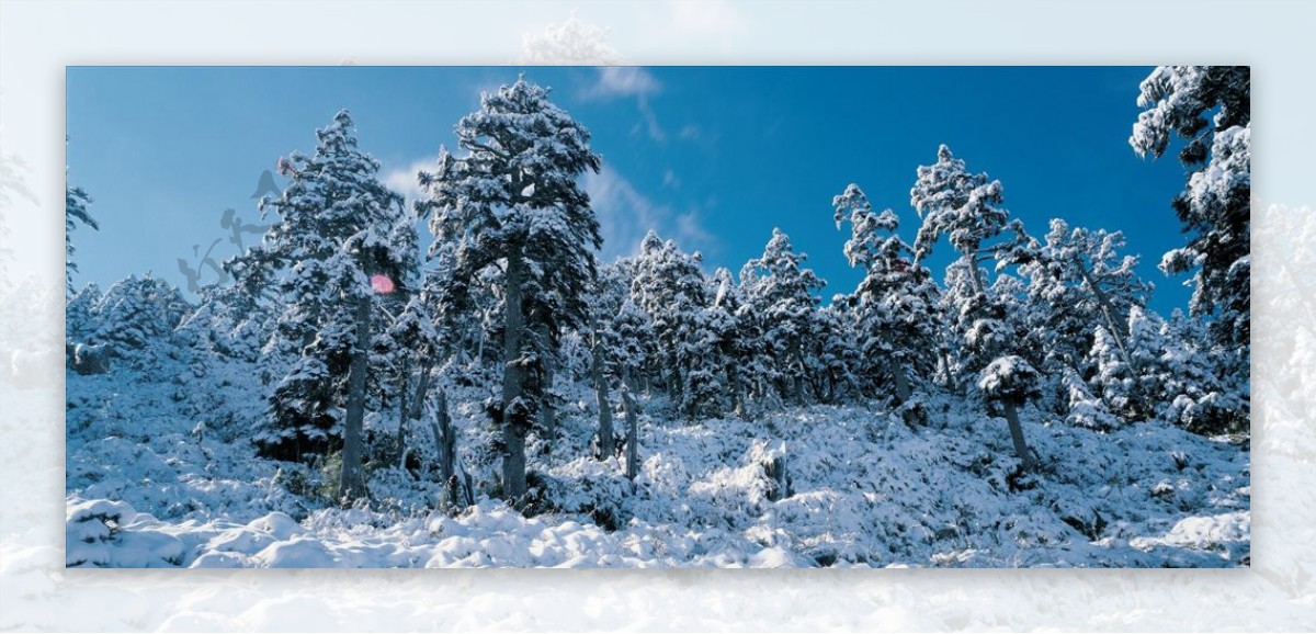 冬天雪景