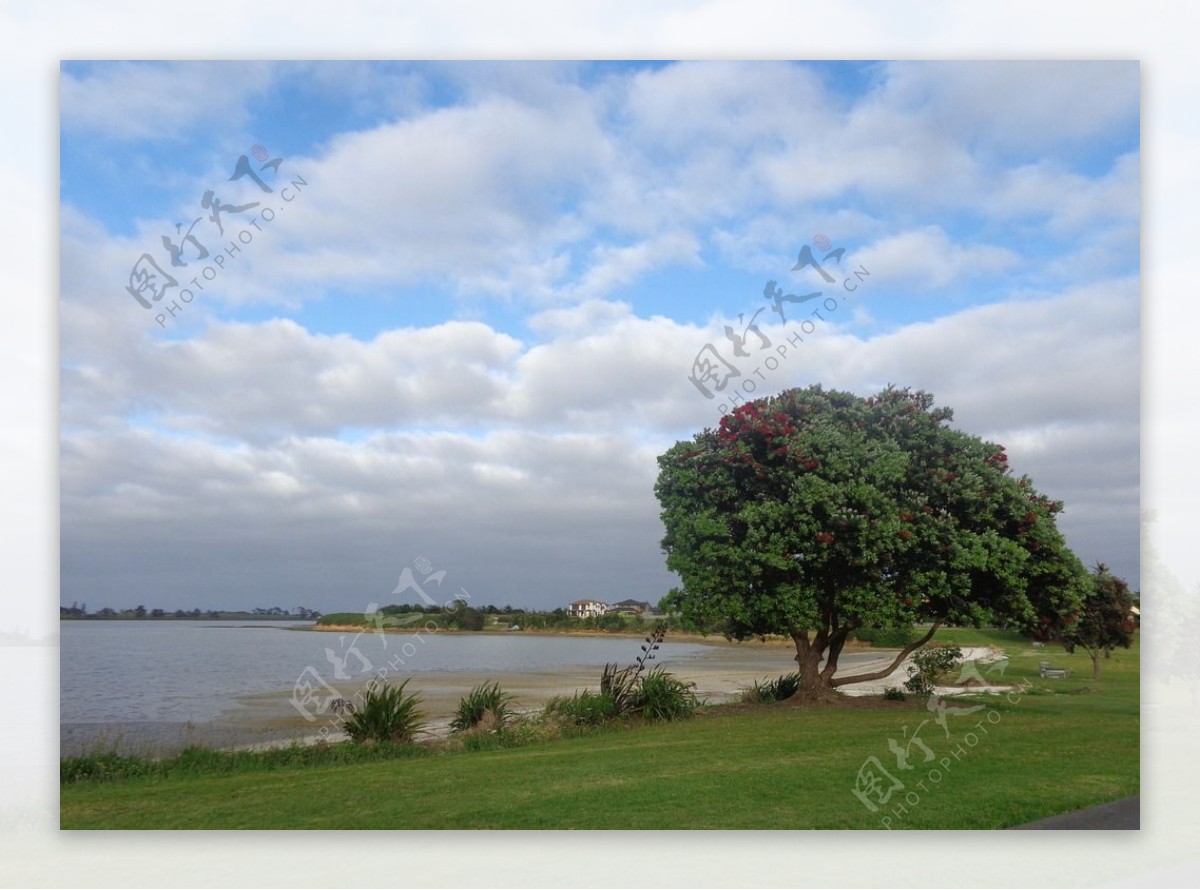 奥克兰海滨小镇风景