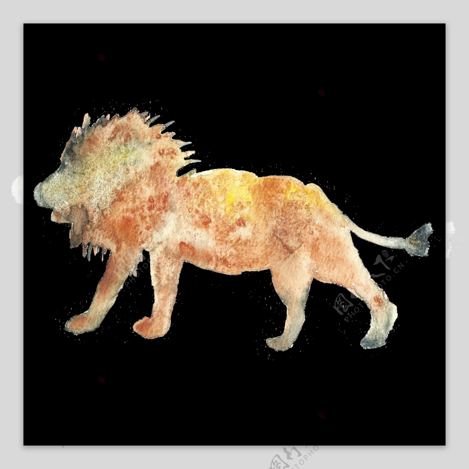 质感砂砾纹理狮子透明装饰图案
